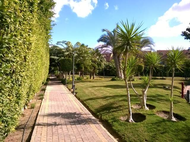 landscape company in egypt